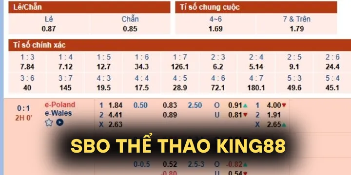 SBO Thể Thao King88 - Thiên đường cá cược thể thao trực tuyến